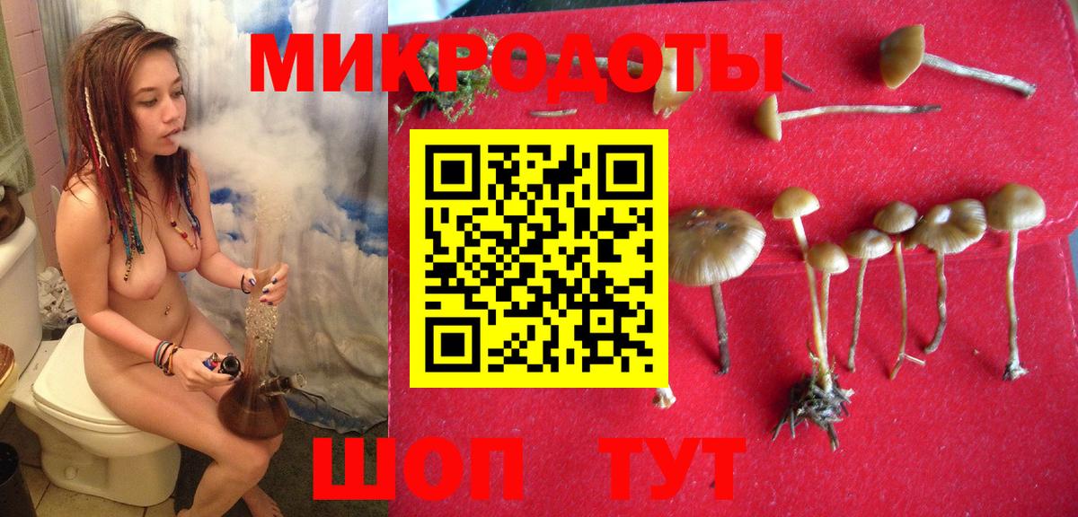 Грозный  Псилоцибиновые грибы мухоморы  Вход с VPN 